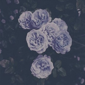 黄片大全国产极品
